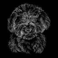 gravyr illustration av en barbet hund på en svart bakgrund vektor