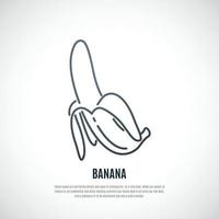 Vektor Illustration von öffnen Banane. gesund Essen Symbol. Banane Symbol im dünn Linie Stil.
