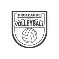 volley boll klubb logotyp och bricka vektor ikon illustration