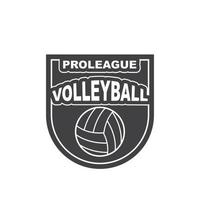 Volley Ball Verein Logo und Abzeichen Vektor Symbol Illustration