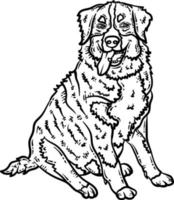 hund djur- färg sida för vuxen vektor