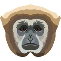 gibbon. de ansikte av de apa är avbildad i vektor stil. en levande bild av en primat. logotyp, illustration isolerat på vit bakgrund.