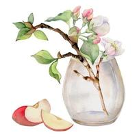 hand dragen vattenfärg sammansättning med äpple blommor på gren med löv och glas flaska. isolerat på vit bakgrund. design för vägg konst, bröllop, skriva ut, tyg, omslag, kort, inbjudan vektor