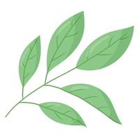 kvist med grön löv. vektor isolerat tecknad serie illustration.