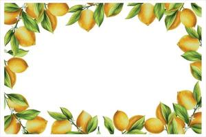 Aquarell Ast von frisch reif Zitrone mit hell Grün Blätter und Blumen. Hand gezeichnet Zitrusfrüchte Gemälde auf Weiß Hintergrund vektor