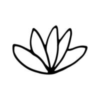enda hand dragen dekorativ blomma lotus. klotter vektor illustration. isolerat på vit bakgrund