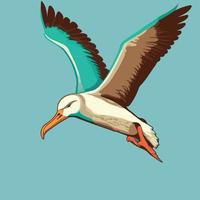färgrik albatross pop- konst stil vektor illustration