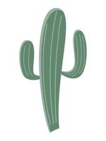 kaktus illustration i en platt stil på en vit bakgrund. Hem växter kaktus illustration. vektor