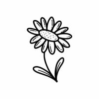 Blume auf Weiß Hintergrund. Pflanze. Vektor Gekritzel abbildung.hand gezeichnet skizzieren. Kamille.