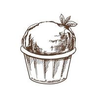 en ritad för hand skiss av ett is grädde, muffin med mynta i en kopp. årgång illustration. element för de design av etiketter, förpackning och vykort. vektor
