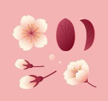 uppsättning av sakura blommor, knoppar och löv. botanisk illustration i realistisk stil, körsbär blomma. hanami festival. för klistermärken, affischer, vykort, design element vektor
