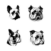 frigöra de bulldogg anda med vår arg bulldogg huvud logotyp silhuett samling. hand dragen med kärlek, dessa illustrationer är Säker till Lägg till en Rör av kraft och intensitet till din projekt vektor