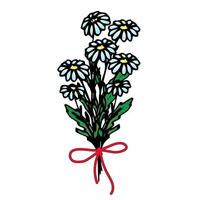 Blumenstrauß der Gänseblümchen mit einem roten Band gebunden, Anordnung der Blumen, Blumenmuster, Vektorblumen im Stil der Handzeichnung, Gekritzel. vektor