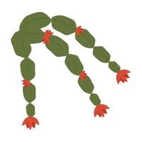Kaktus und Sukkulenten, Vektor Illustration im eben Stil