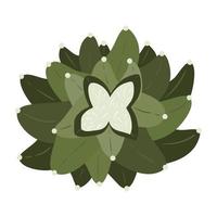 kaktus och suckulenter, vektor illustration i platt stil