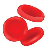 erytrocyt är röd blod celler. vektor