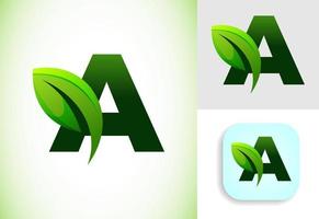 första en alfabet med en blad. miljövänlig logotyp begrepp. grafisk alfabet symbol för företag och företag identitet. vektor
