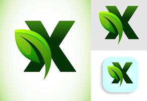 första x alfabet med en blad. miljövänlig logotyp begrepp. grafisk alfabet symbol för företag och företag identitet. vektor