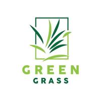 Grün Gras Logo, Natur Pflanze Vektor, Landwirtschaft Blatt einfach Design, Vorlage Symbol Illustration vektor