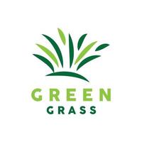 Grün Gras Logo, Natur Pflanze Vektor, Landwirtschaft Blatt einfach Design, Vorlage Symbol Illustration vektor