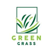 Grün Gras Logo, Natur Pflanze Vektor, Landwirtschaft Blatt einfach Design, Vorlage Symbol Illustration vektor