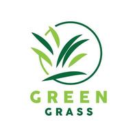 Grün Gras Logo, Natur Pflanze Vektor, Landwirtschaft Blatt einfach Design, Vorlage Symbol Illustration vektor