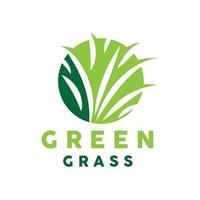 Grün Gras Logo, Natur Pflanze Vektor, Landwirtschaft Blatt einfach Design, Vorlage Symbol Illustration vektor