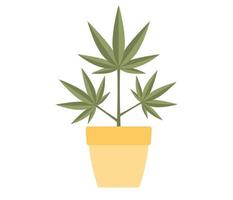 marijuana eller cannabis växt i blomma pott ikon. vektor platt illustration