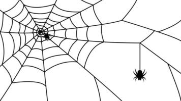 Spindel på webb. Spindel webb bakgrundsbilder. spindelnät bakgrund. illustration av en Spindel framställning en webb. de Spindel hänger från dess trådar. vektor