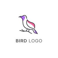 minimalistisch Monoline Linie Kunst Vogel Logo Design Vektor, Vektor Linie Kunst von abstrakt bunt Kolibri, Gliederung Vogel Logo Design