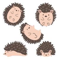 süß Igel oder Stachelschwein Tier einstellen vektor