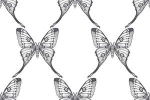 svart och vit natt fjärilar. sömlös mönster. vektor
