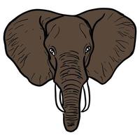 elefant vektor stock illustrationer