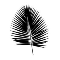 Palme Blatt Silhouette. Vektor Illustration