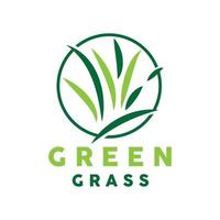 Grün Gras Logo, Natur Pflanze Vektor, Landwirtschaft Blatt einfach Design, Vorlage Symbol Illustration vektor