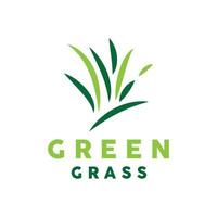 Grün Gras Logo, Natur Pflanze Vektor, Landwirtschaft Blatt einfach Design, Vorlage Symbol Illustration vektor