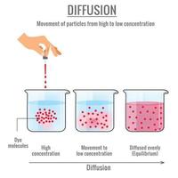 Diffusion das wissenschaftlich Phänomen von ein Mischung vektor