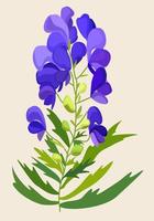 Vektor isoliert Illustration von Blau Aconitum.