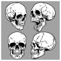 uppsättning av skalle i hand teckning stil vektor