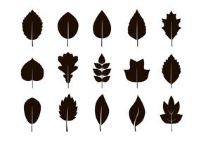 uppsättning av isolerad svart löv. vektor illustration.