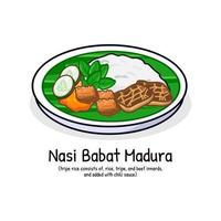 nasi Babat oder Gekröse Reis mit Sambals würzig Essen von Madura Indonesien vektor