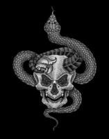 Illustration Dämon Schädel mit Schlange Antiquität Gravur Stil vektor