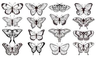 fjäril silhuetter. svart översikt fjärilar tatuering grafisk, tropisk söt insekter. metamorfos och vår symboler isolerat vektor uppsättning