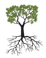 grüner Baum mit Wurzeln. Vektor-Umriss-Illustration. Pflanze im Garten. vektor