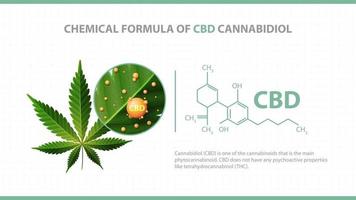 weißes Plakat mit chemischer Formel von cbd Cannabidiol und grünem Blatt von Cannabis mit 3d Molekülen chemischer Formeln von cbd Cannabidiol