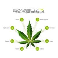 tetrahydrocannabinol-fördelar, vit informationsaffisch med fördelningsikoner och gröna blad av cannabis vektor