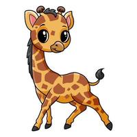 süß komisch Baby Giraffe posieren vektor