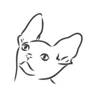 vektorillustration av en sphynx-katt med en liner isolerad på en vit bakgrund. för utskrift på kläder, papper, logotyp, ikon, tomt för designers t-shirts, tallrikar, säng vektor