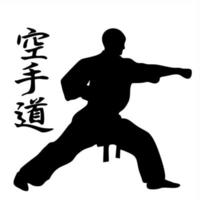 logotyper och symboler handla om karate vektor