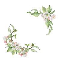 hand dragen vattenfärg äpple blomma, vit och rosa blommor med grön löv. fyrkant ram sammansättning. isolerat objekt på vit bakgrund. design för vägg konst, bröllop, skriva ut, tyg, omslag, kort. vektor